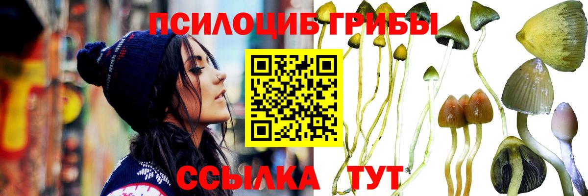 Псилоцибиновые грибы мухоморы  Псилоцибиновые грибы GOLDEN TEACHER  Кунгур  наркота  Вход с VPN 